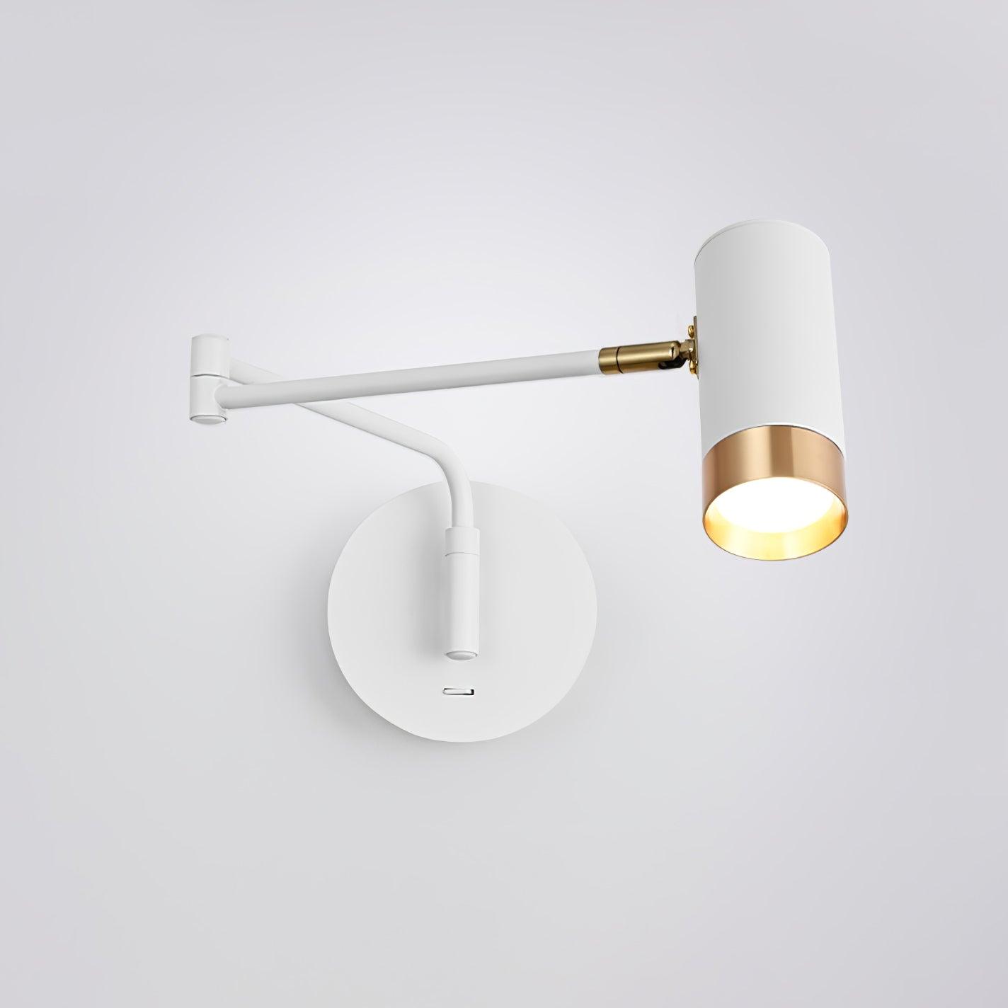Vantage Swing Arm Light