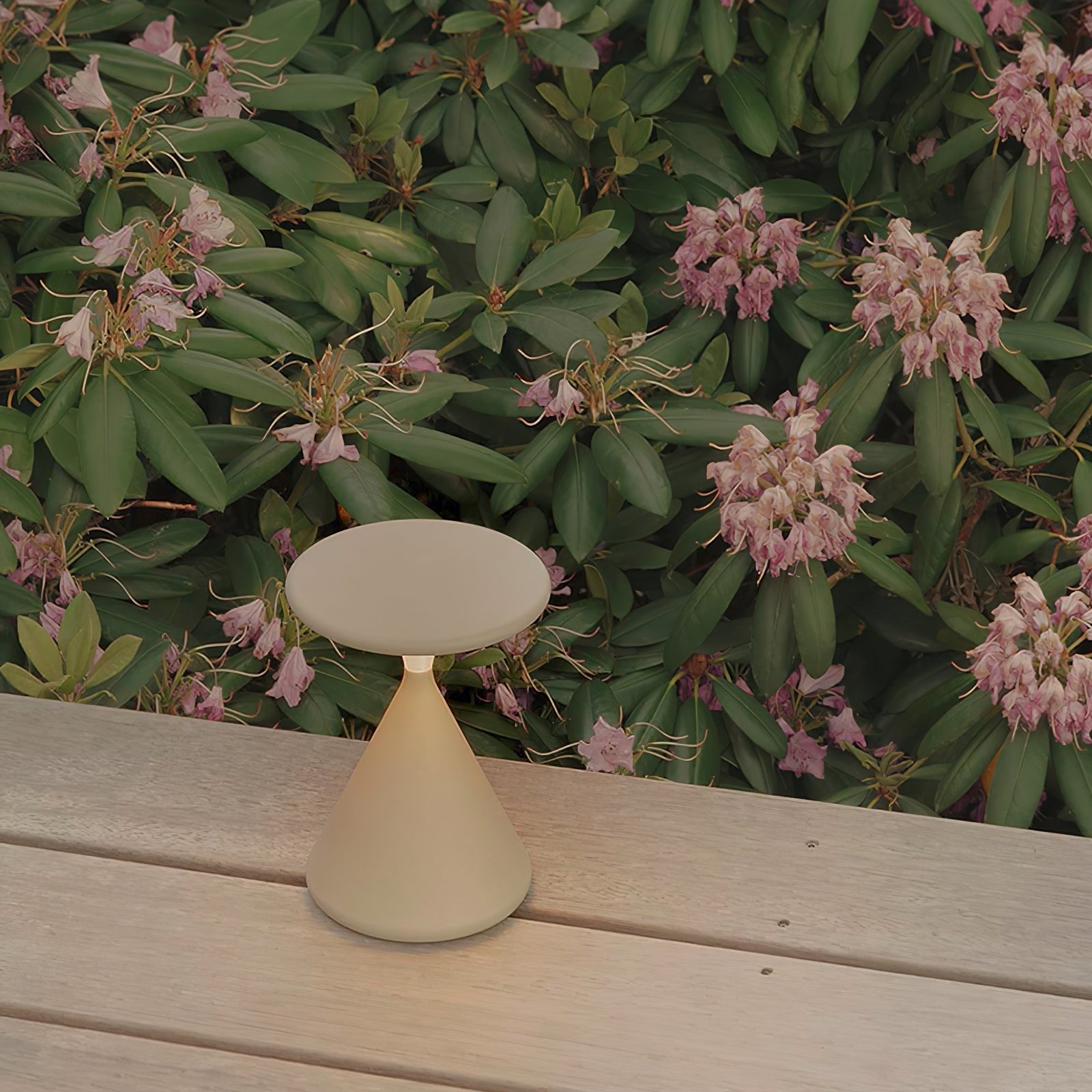 Aura Cordless Lamp