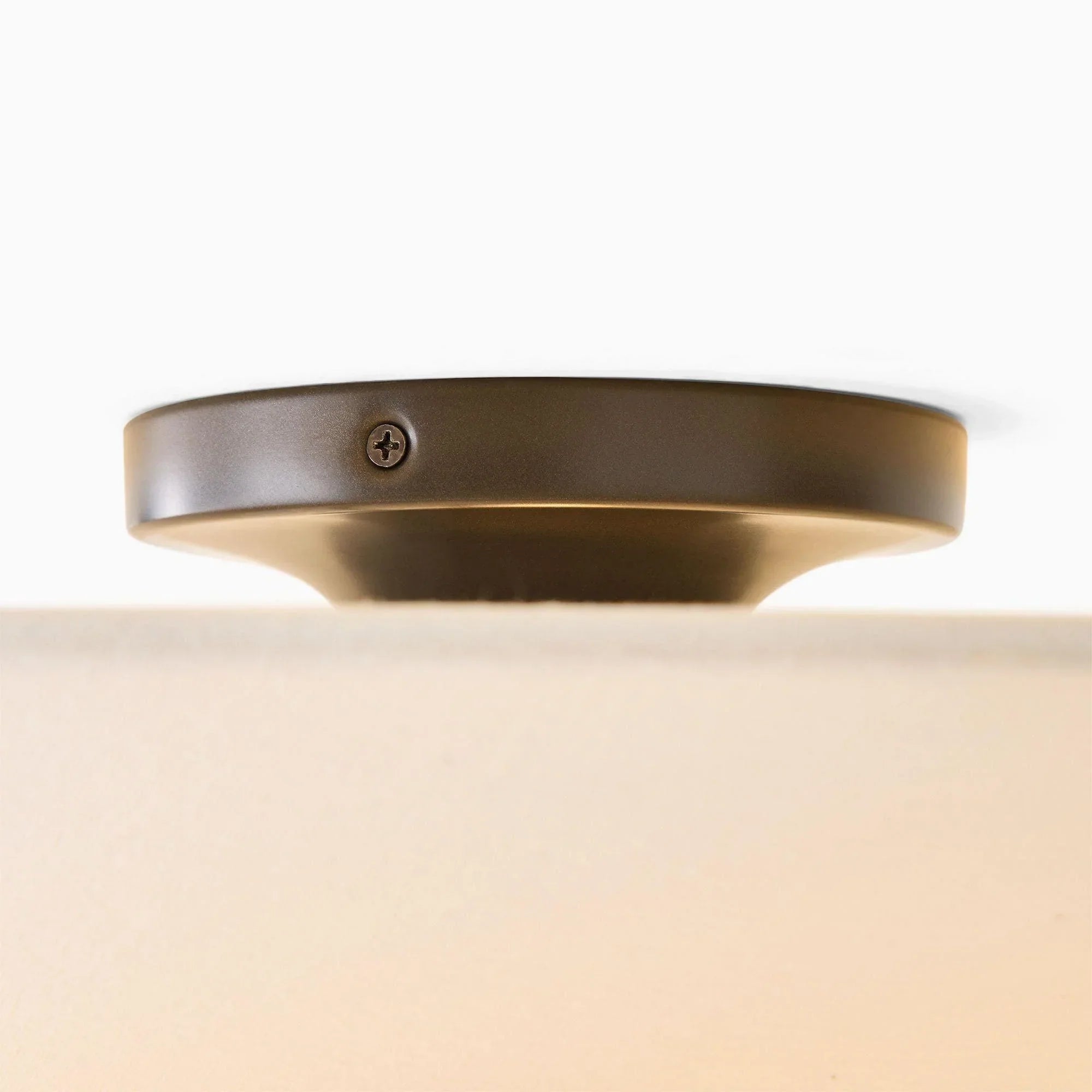 Layered Halo Flush Light