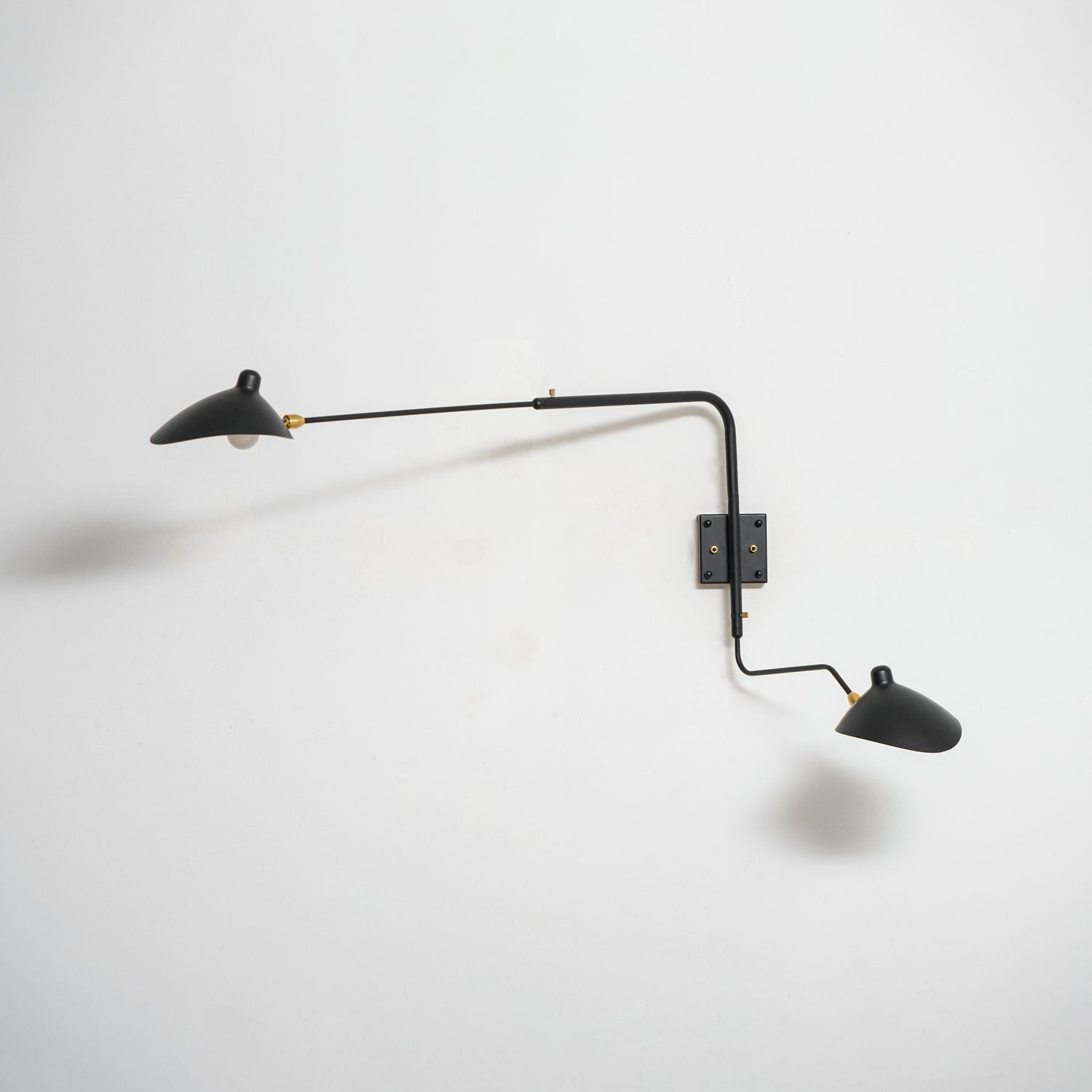 Adjustable Arm Wall Sconce