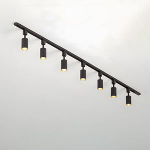 Cylinder Track Spotlight