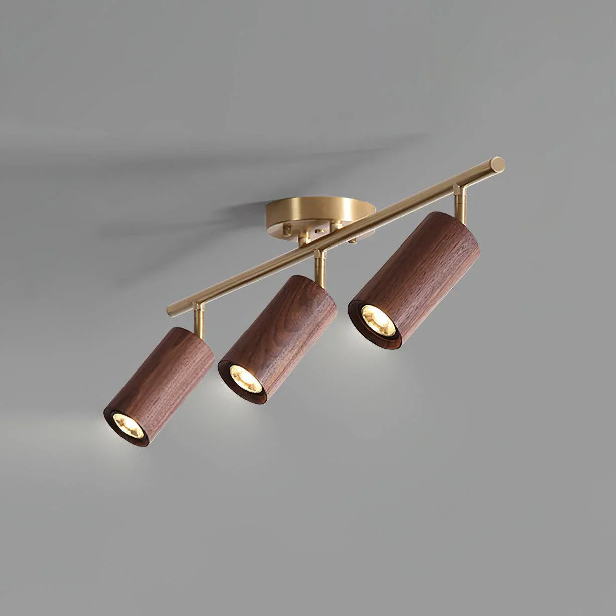 Walnut Spotlight Track