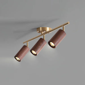 Walnut Spotlight Track