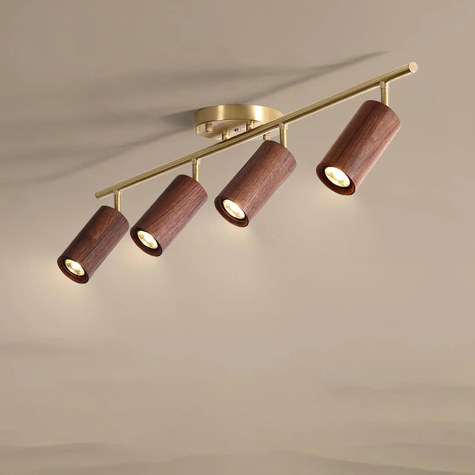 Walnut Spotlight Track