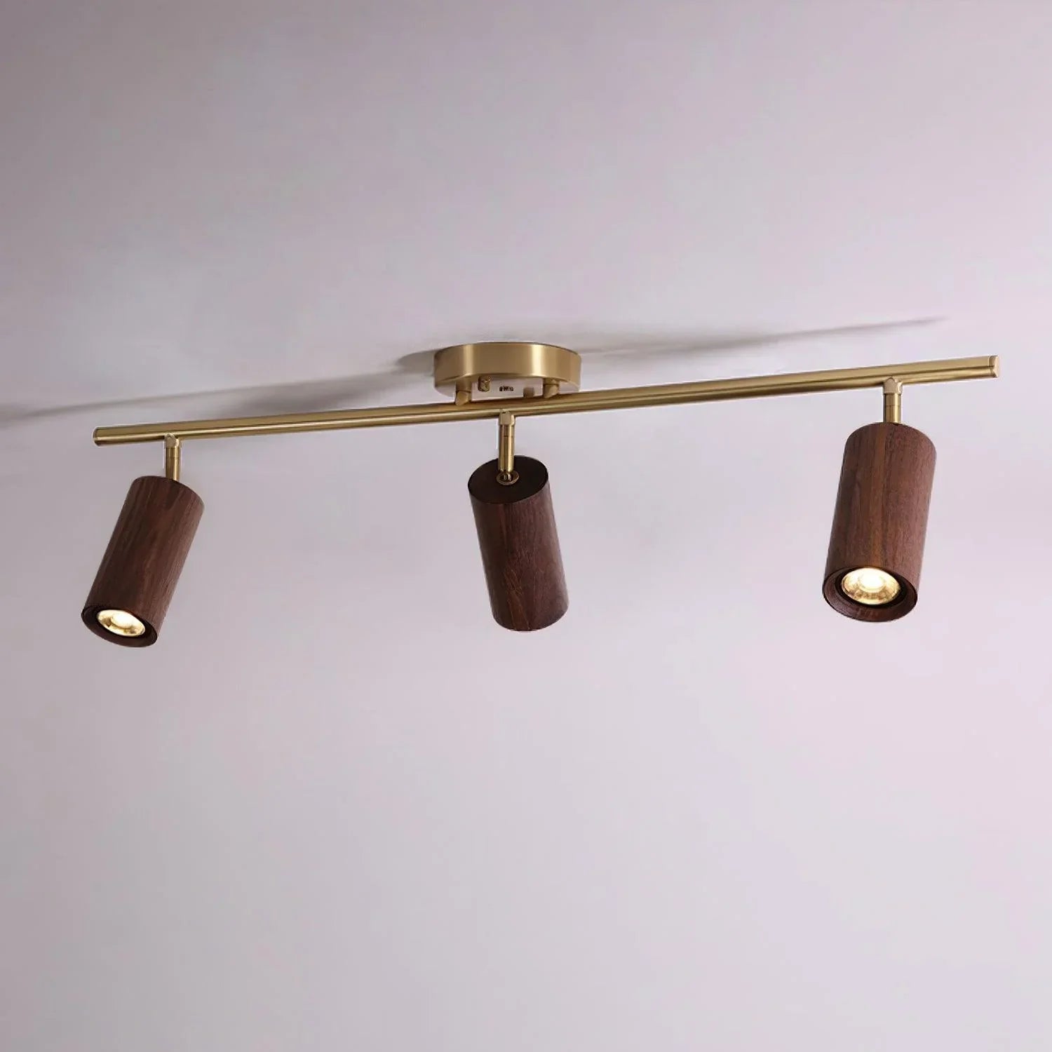 Walnut Spotlight Track