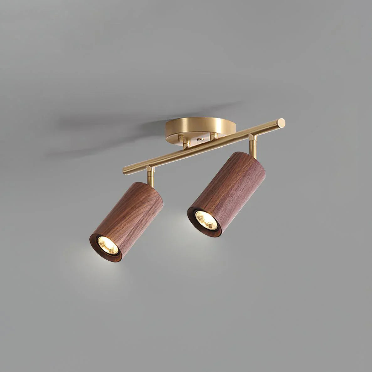 Walnut Spotlight Track