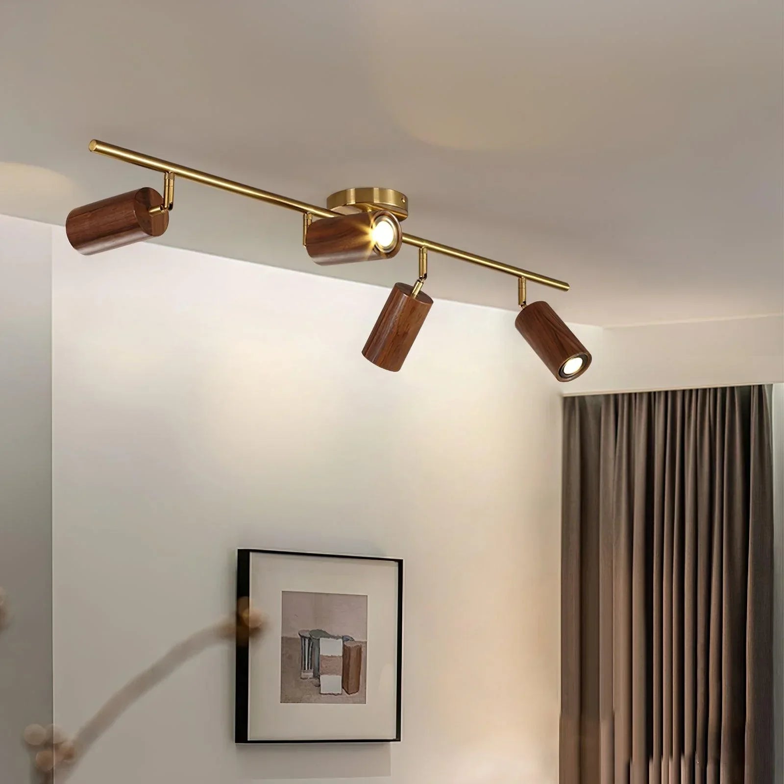 Walnut Spotlight Track