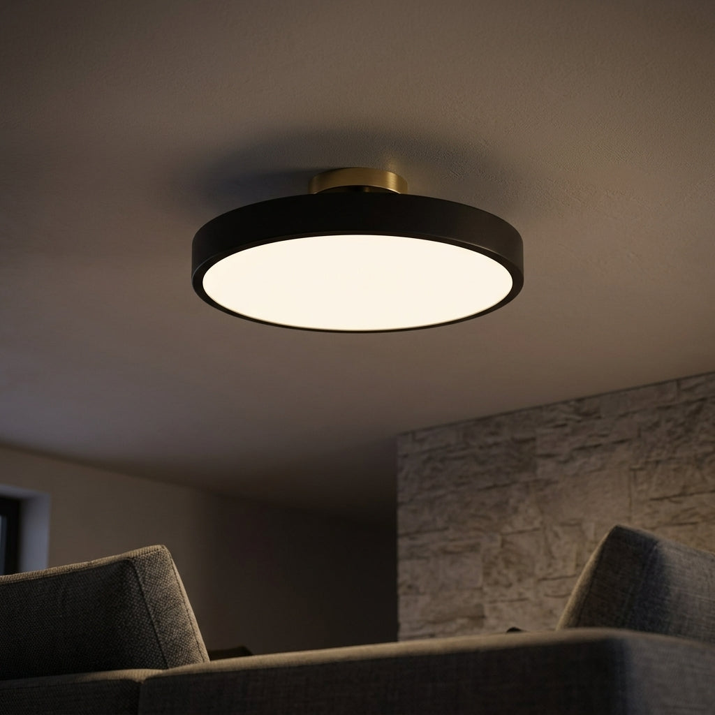 Luma Flush Ceiling Light - Main Product Image