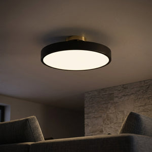 Luma Flush Ceiling Light - Main Product Image